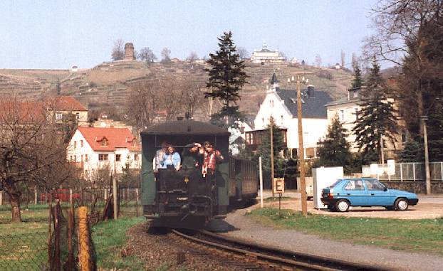 weinberg.jpg (50841 Byte)