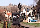 weinbergthumb.jpg (7344 Byte)